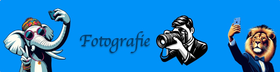 Fotografie