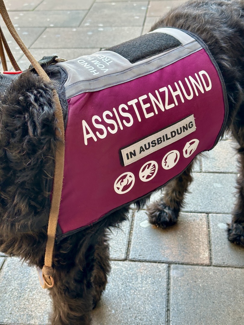 Sei dabei – Assistenzhund