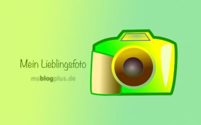 Lieblingsfoto 08–2024