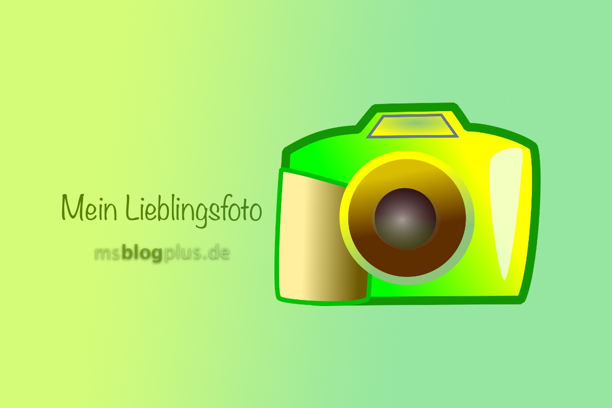 Lieblingsfoto 08–2024