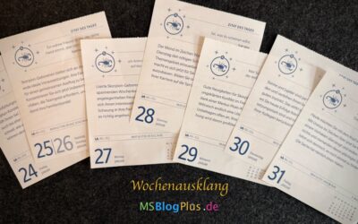 Wochenendausgabe 479