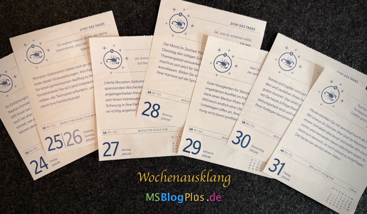 Wochenendausgabe 479