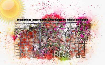 Sommerliche Temperaturen: Auswirkungen auf Mensch & Umwelt