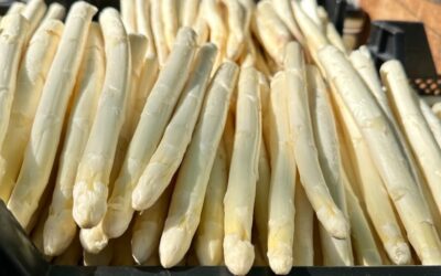 Königsgemüse schafft Überraschung