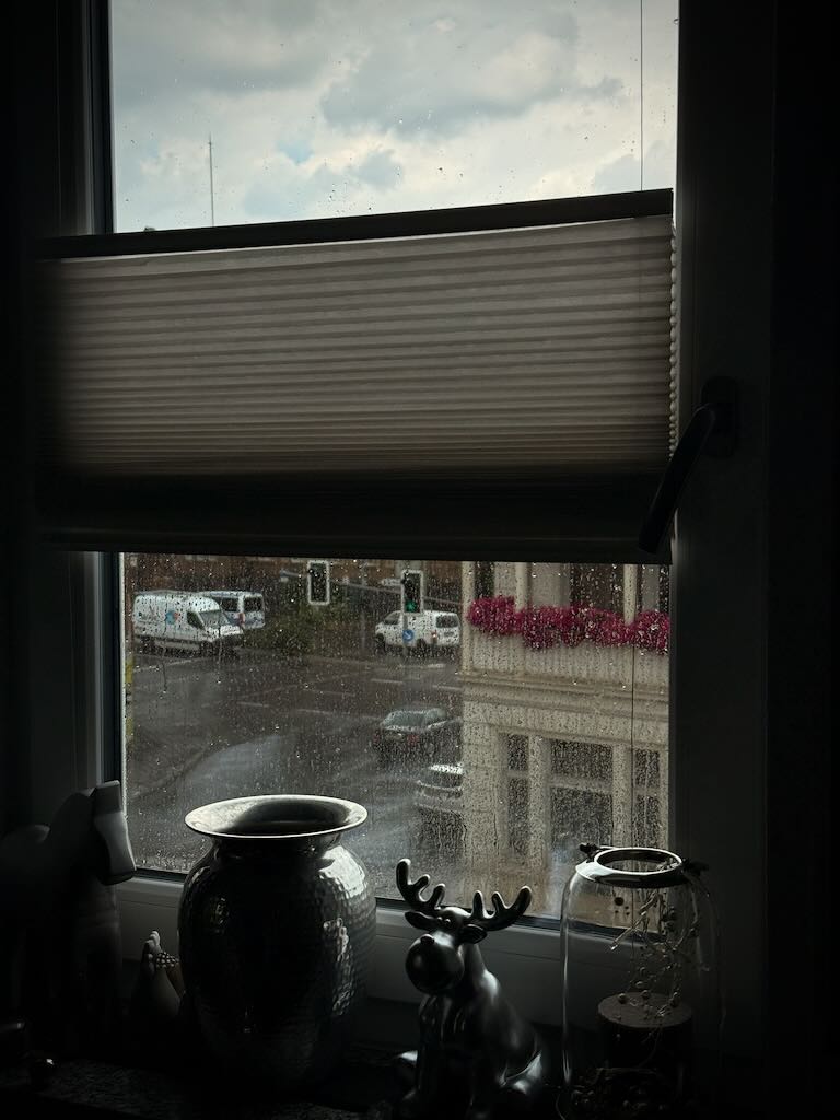 Fenster Freitag