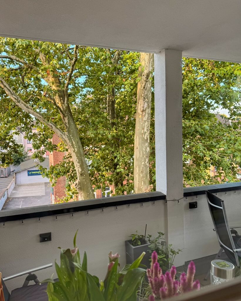 Zum Fenster Freitag