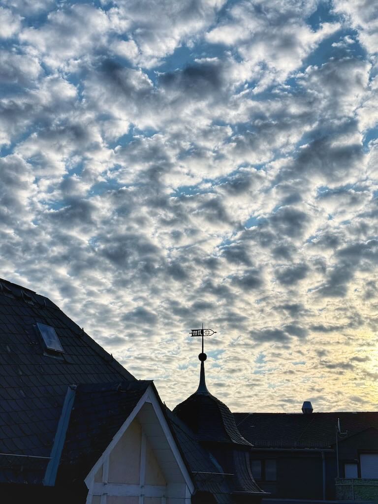 Smartphone-Foto des Monats-9-2025