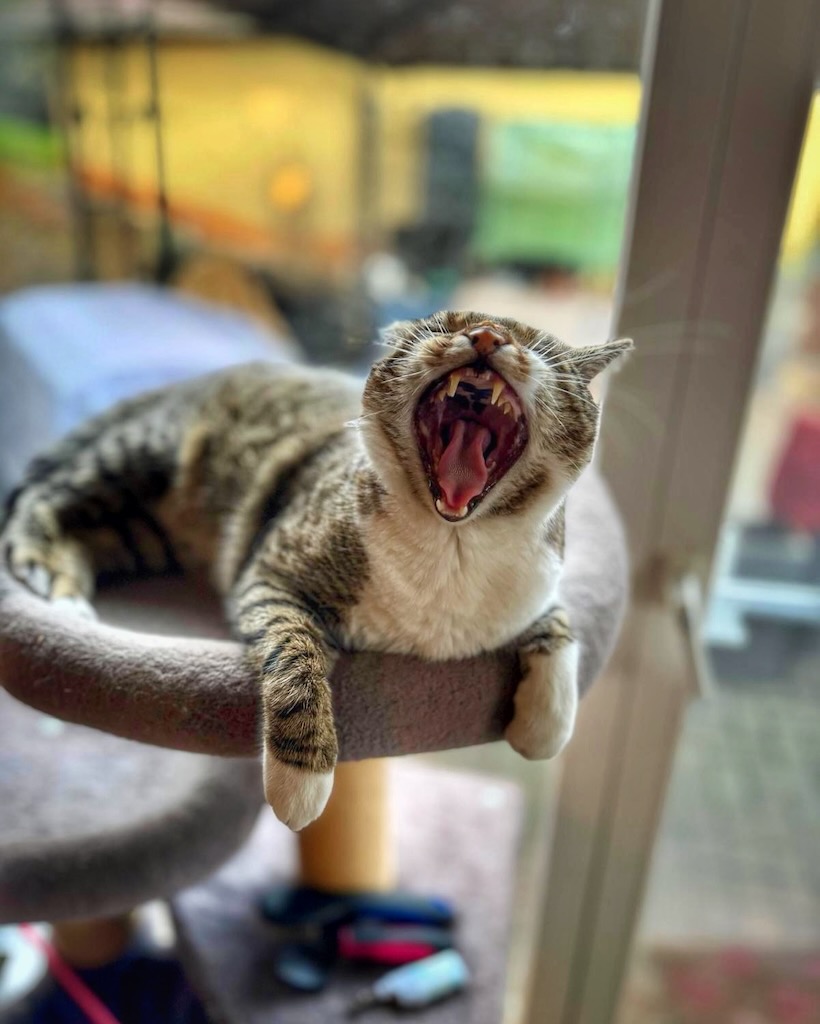 Smartphone-Foto des Monats-01-2026