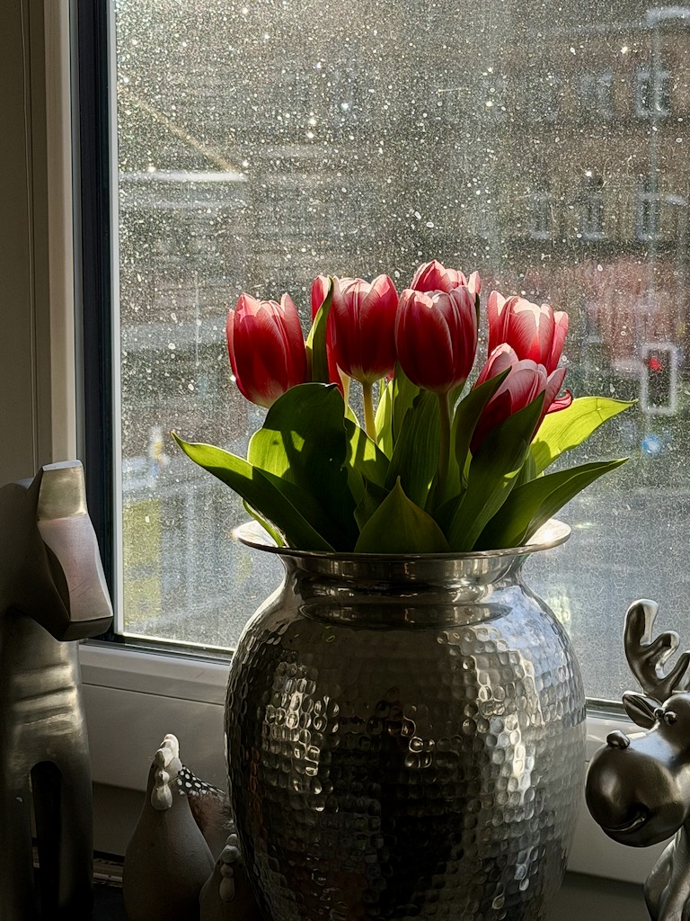 Sind die Fenster schon geputzt?