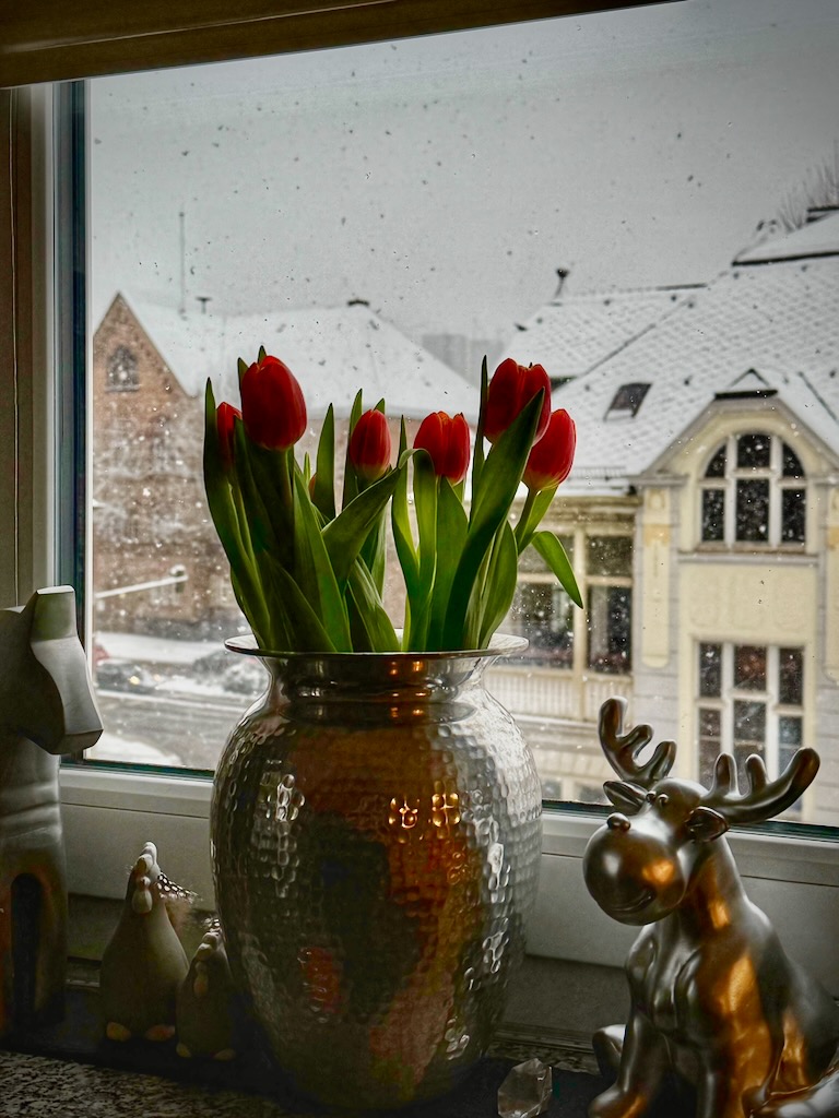 Smartphone-Foto des Monats-02-2026