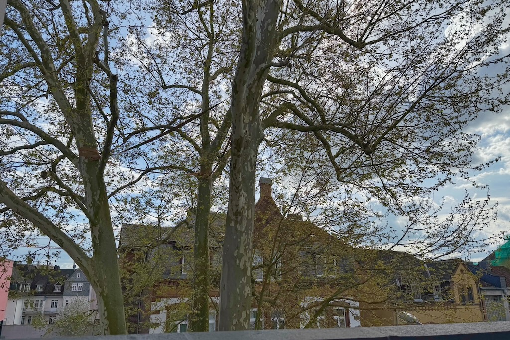 Ausblick von Balkonien