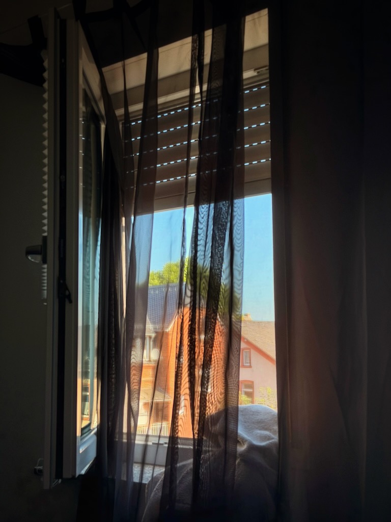  Ein Fenster ist ein kleines Tor zur Welt