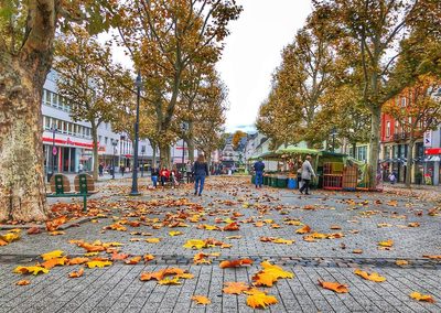 Herbst