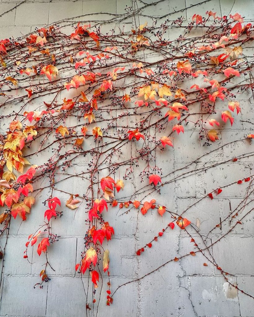Goldener Oktober